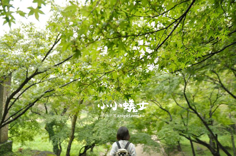 宝満宮竈門神社,福岡,日本,神社,寺廟,朱印,御朱印,朱印蒐集,日本神社